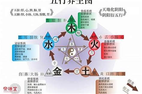 五行缺水缺金